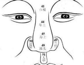 鼻子 面相|相学最有福气的7种鼻子 面相中最有福气的7种鼻子